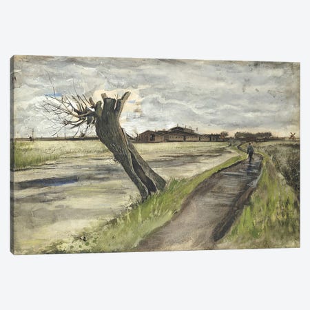 Pollard Willow, 1882  Canvas Print #BMN5131} by Vincent van Gogh Canvas Print
