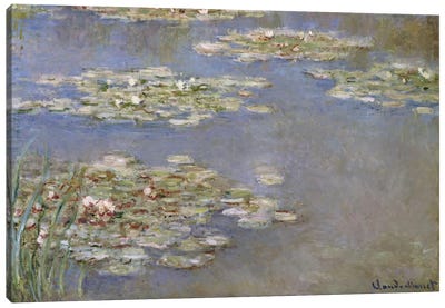 Nympheas, c.1905  Canvas Art Print - Claude Monet