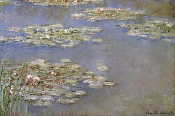 Claude Monet: Nympheas, c.1905  by Claude Monet