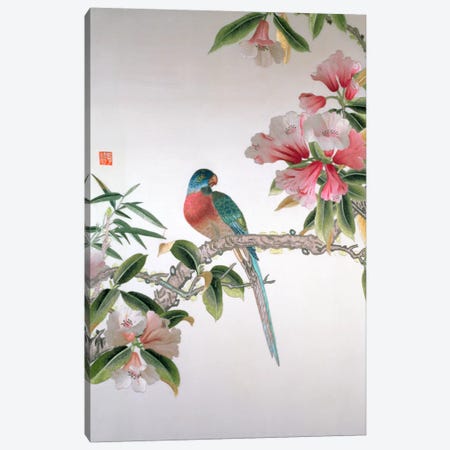 Jay on a flowering branch, Republic period  Canvas Print #BMN517} by Chinese School Canvas Print