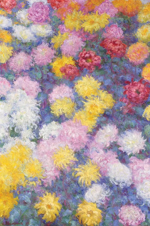 Chrysanthemums, 1897 