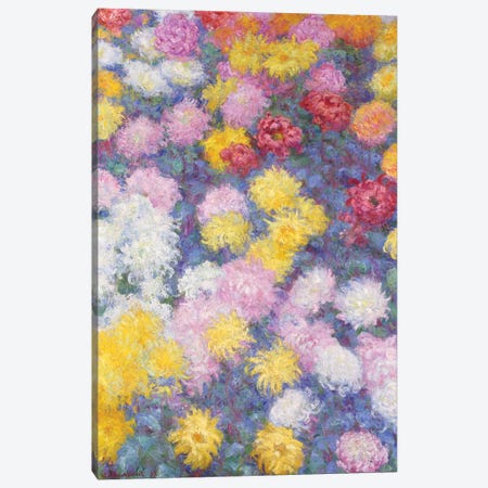 Chrysanthemums, 1897  Canvas Print #BMN5201} by Claude Monet Art Print