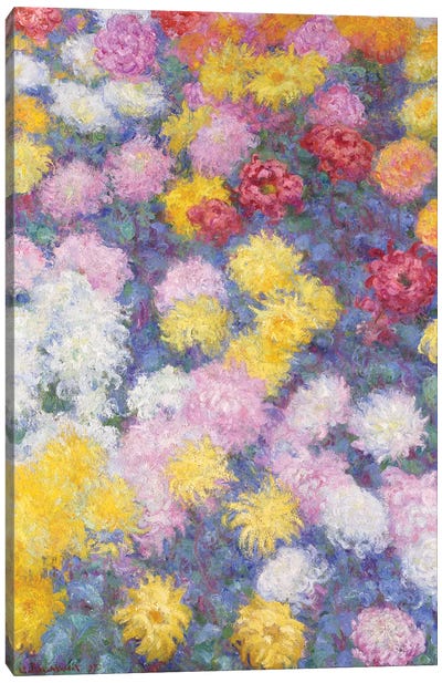 Chrysanthemums, 1897  Canvas Art Print - Claude Monet