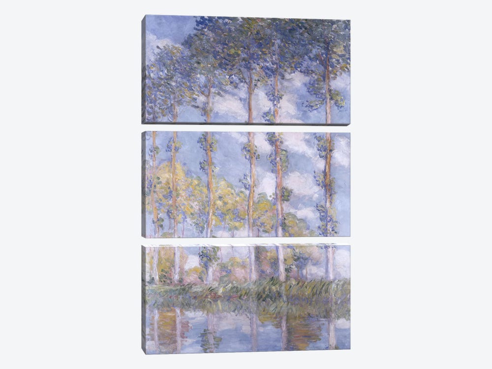 The Poplars, 1881  by Claude Monet 3-piece Art Print