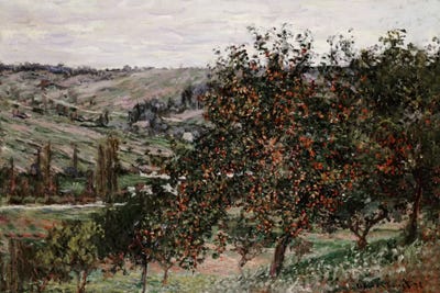 Apple Trees