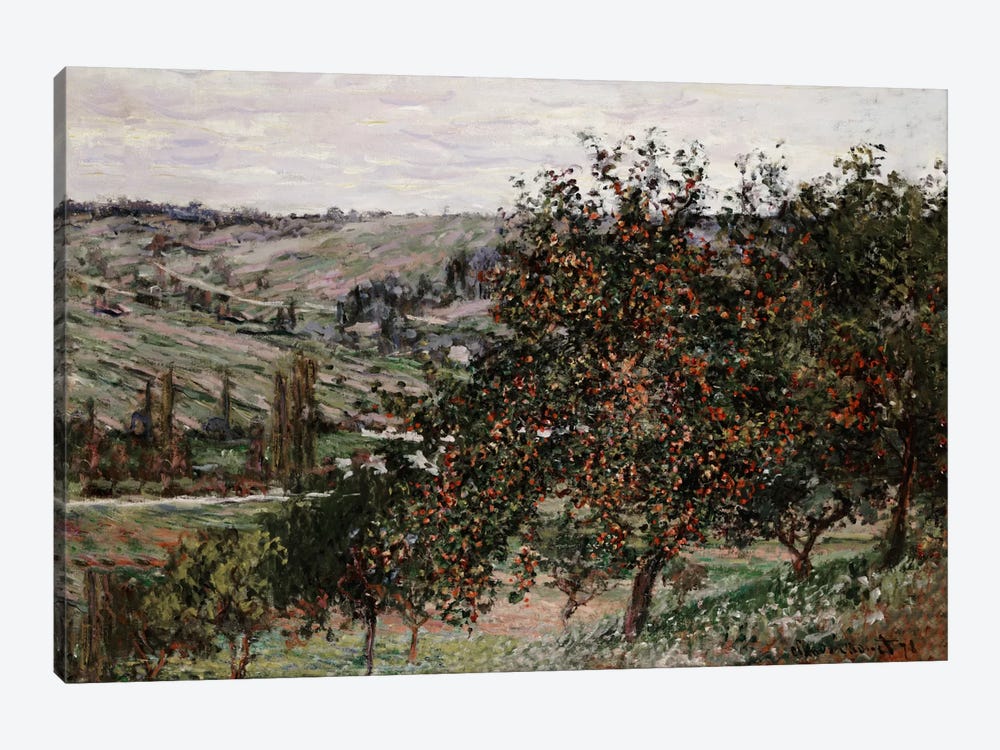 Apple Trees near Vetheuil  by Claude Monet 1-piece Canvas Print
