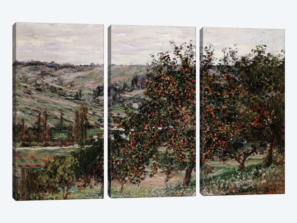 Apple Trees near Vetheuil  by Claude Monet 3-piece Canvas Print