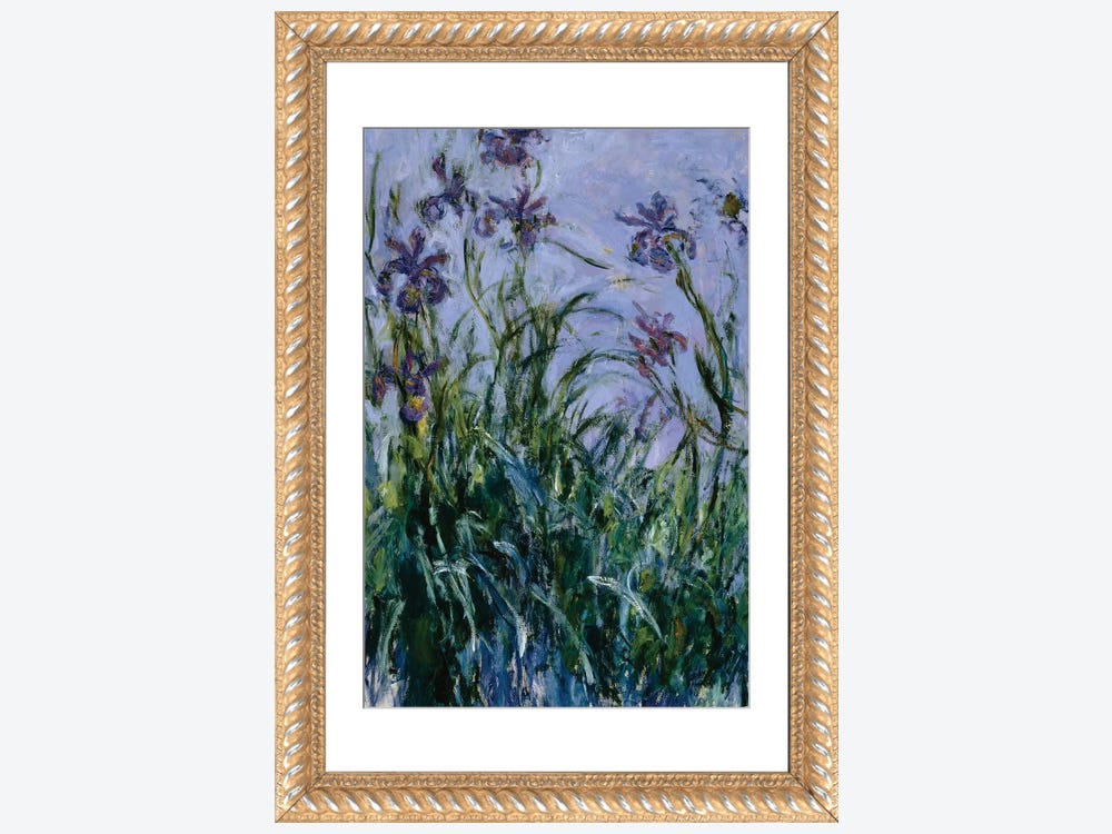 Purple Irises, 1914-17 Canvas Print by Claude Monet
