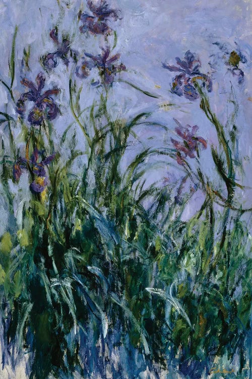 Purple Irises, 1914-17  by Claude Monet wall art