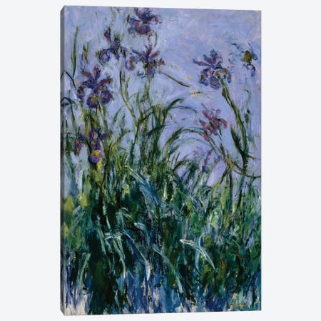 Purple Irises, 1914-17  Canvas Print #BMN5217} by Claude Monet Canvas Print