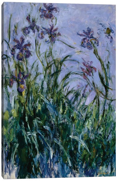 Purple Irises, 1914-17  Canvas Art Print - Claude Monet