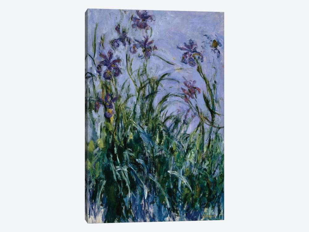 Purple Irises, 1914-17  by Claude Monet 1-piece Canvas Artwork