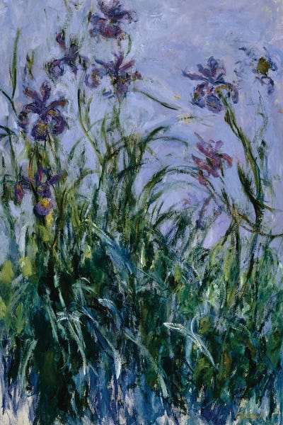 All Things Monet: Purple Irises, 1914-17  by Claude Monet