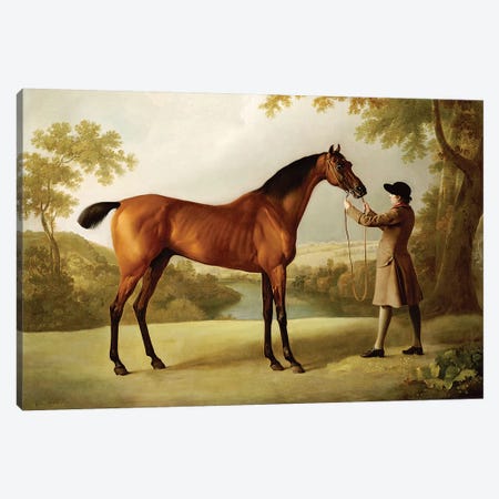 Tristram Shandy, a Bay Racehorse Held by a Groom in an Extensive Landscape, c.1760  Canvas Print #BMN5237} by George Stubbs Canvas Art Print