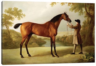 Tristram Shandy, a Bay Racehorse Held by a Groom in an Extensive Landscape, c.1760  Canvas Art Print - George Stubbs