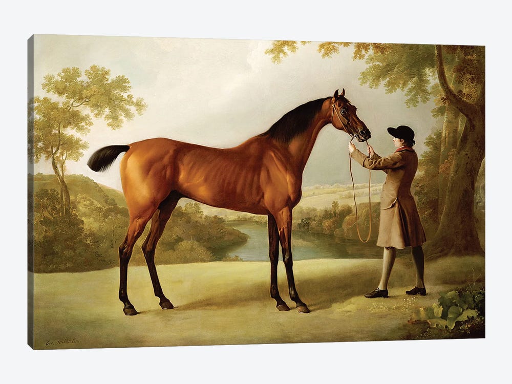 Tristram Shandy, a Bay Racehorse Held by a Groom in an Extensive Landscape, c.1760  by George Stubbs 1-piece Canvas Wall Art