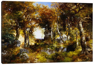 The Woodland Pool, 1909  Canvas Art Print