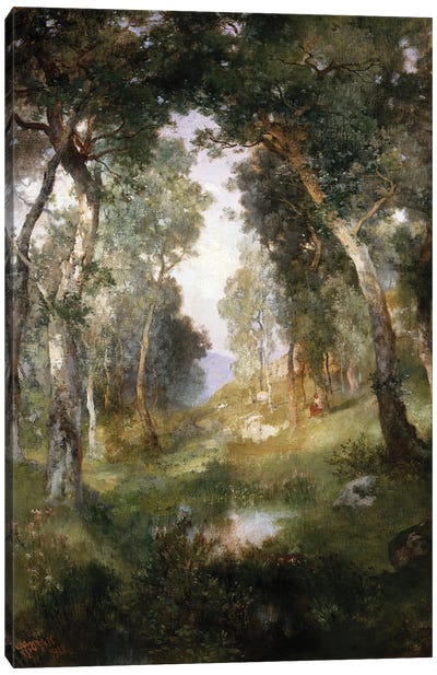 Forest Glade, Santa Barbara, 1918  Canvas Art Print