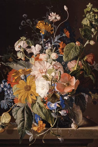 Daisies: Poppies, Hollyhock, Morning Glory, Viola, Daisies, Sweet Pea, Marigolds and other Flowers in a Vase with a Snail on a Ledge  by Jan van Huysum
