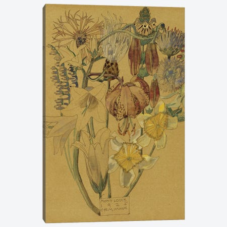 Mont Louis - Flower Study, 1925  Canvas Print #BMN5304} by Charles Rennie Mackintosh Art Print