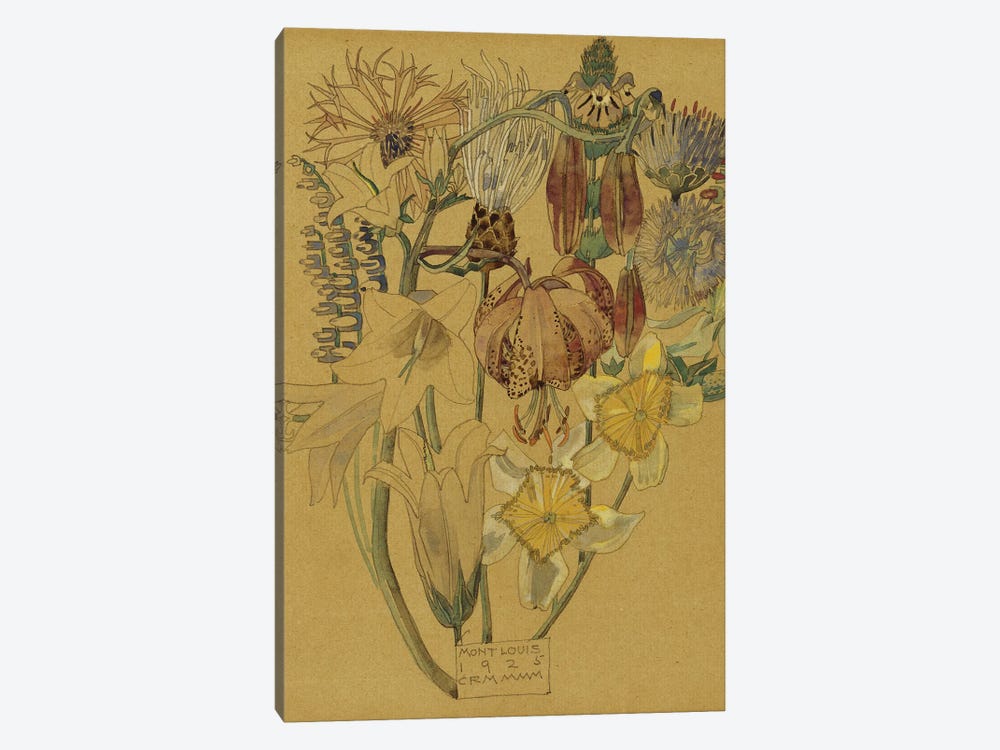 Mont Louis - Flower Study, 1925  by Charles Rennie Mackintosh 1-piece Canvas Art Print