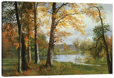 A Quiet Lake  Canvas Art Print - Hudson River School Art