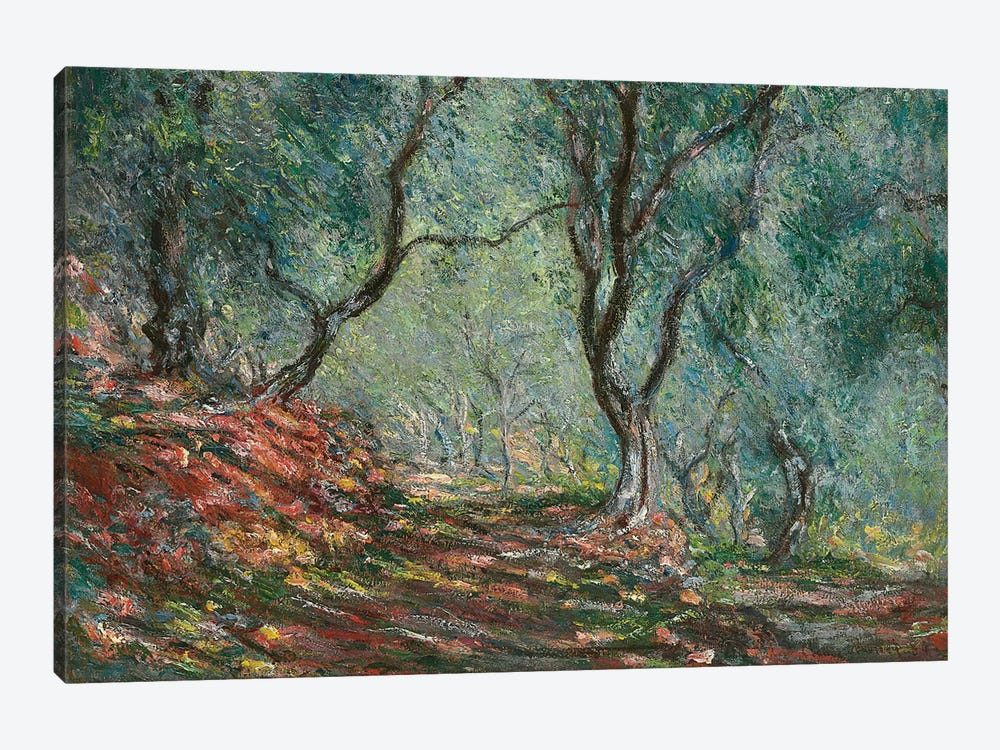 Olive Trees in the Moreno Garden, 1884  by Claude Monet 1-piece Canvas Artwork