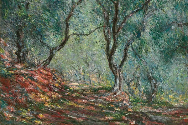 All Things Monet: Olive Trees in the Moreno Garden, 1884  by Claude Monet
