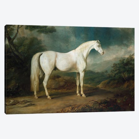 White horse in a wooded landscape, 1791  Canvas Print #BMN5349} by Sawrey Gilpin Canvas Artwork