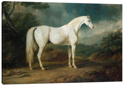 White horse in a wooded landscape, 1791  Canvas Art Print