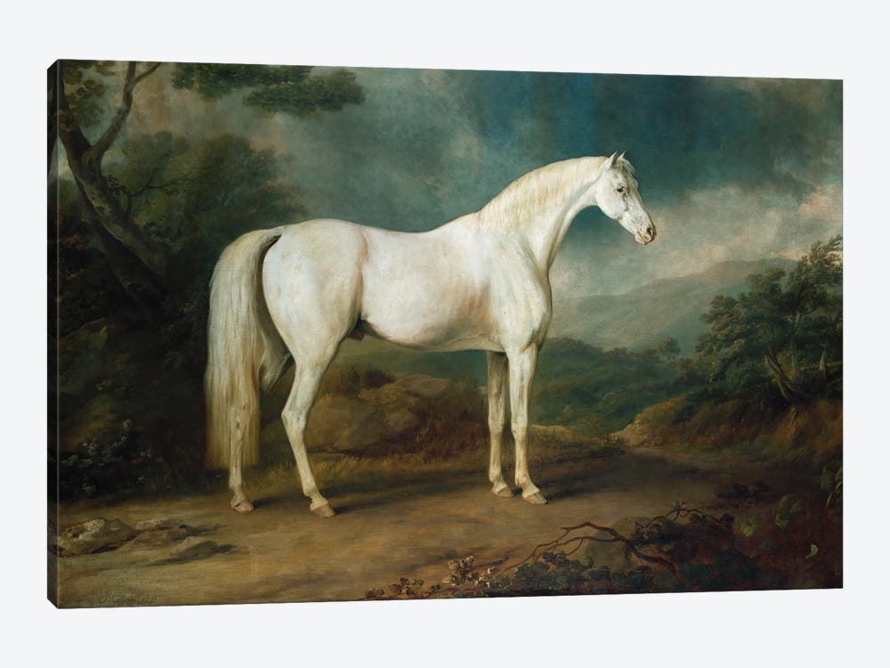 White horse in a wooded landscape, 1791  by Sawrey Gilpin 1-piece Canvas Artwork