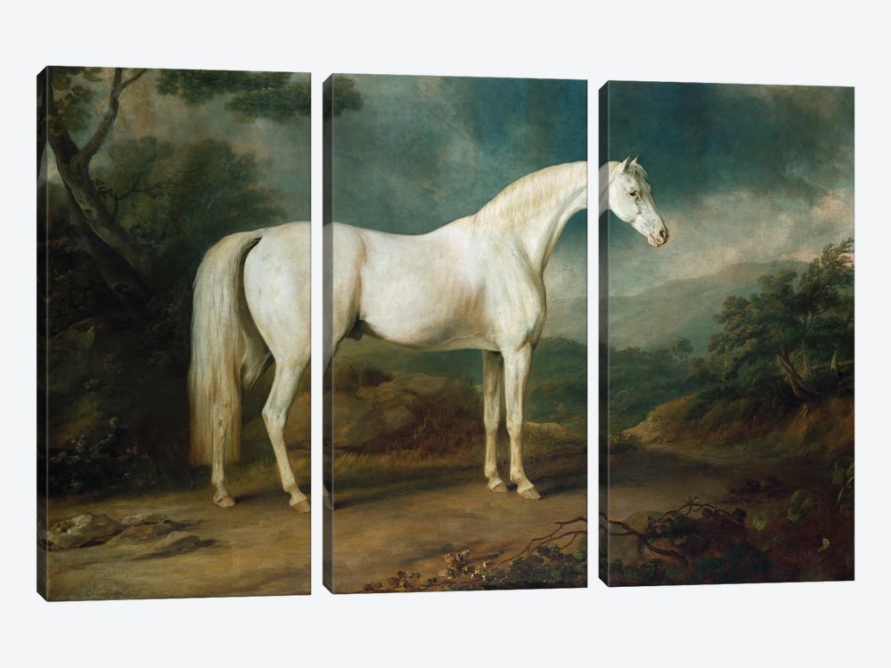 White horse in a wooded landscape, 1791  3-piece Canvas Artwork