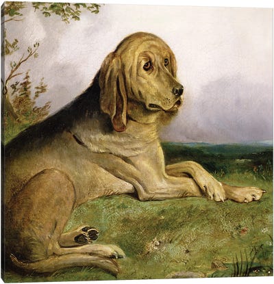 A Bloodhound in a Landscape  Canvas Art Print - Bloodhounds