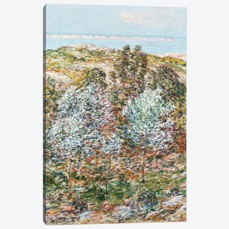 Springtime Vision, 1900  Canvas Print #BMN5386} by Childe Hassam Canvas Print