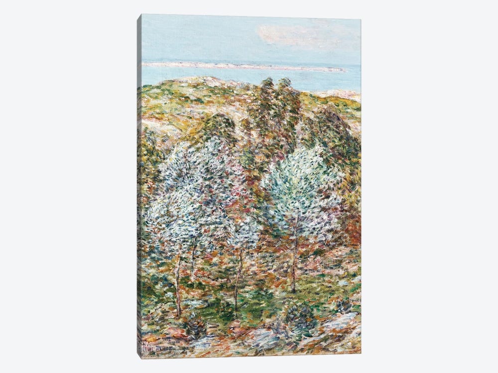 Springtime Vision, 1900  by Childe Hassam 1-piece Canvas Art Print