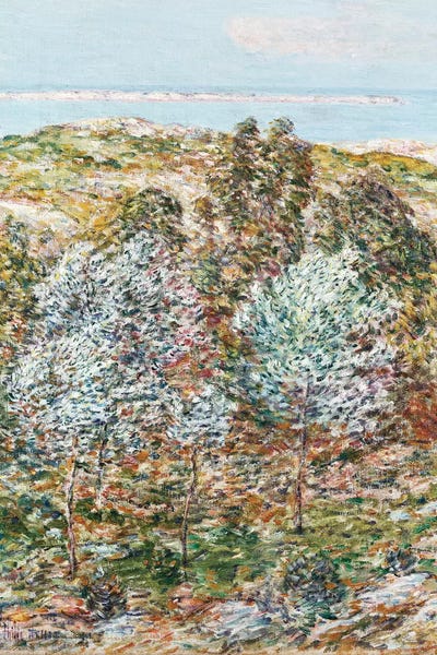 Childe Hassam: Springtime Vision, 1900  by Childe Hassam