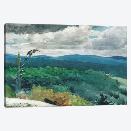 Hilly Landscape, 1894  Canvas Print #BMN5396} by Winslow Homer Canvas Art