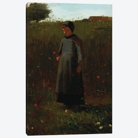 The Flowers of the Field  Canvas Print #BMN5397} by Winslow Homer Canvas Artwork