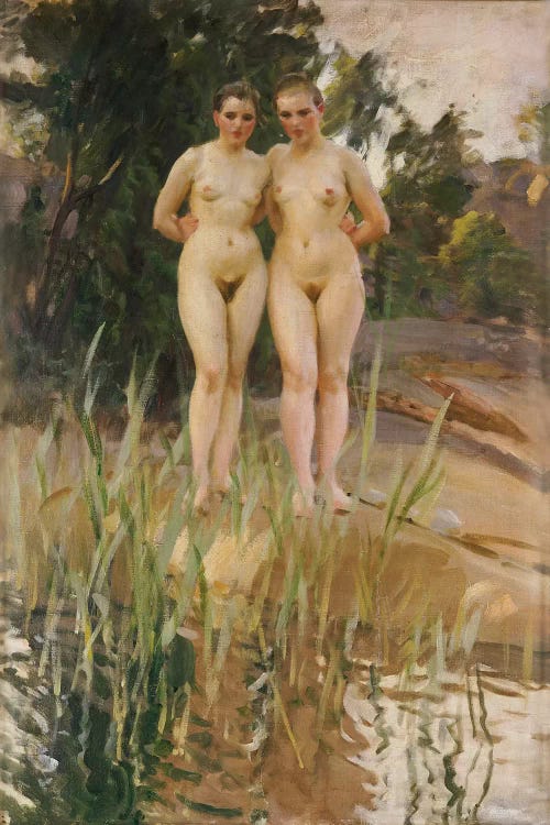 Two Friends  by Anders Leonard Zorn wall art