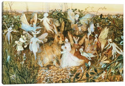 Fairy Twilight  Canvas Art Print