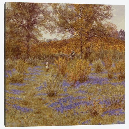 Bluebell Copse, 1889  Canvas Print #BMN5421} by Helen Allingham Art Print