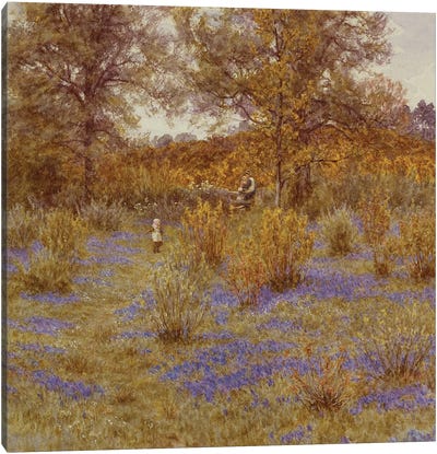 Bluebell Copse, 1889  Canvas Art Print