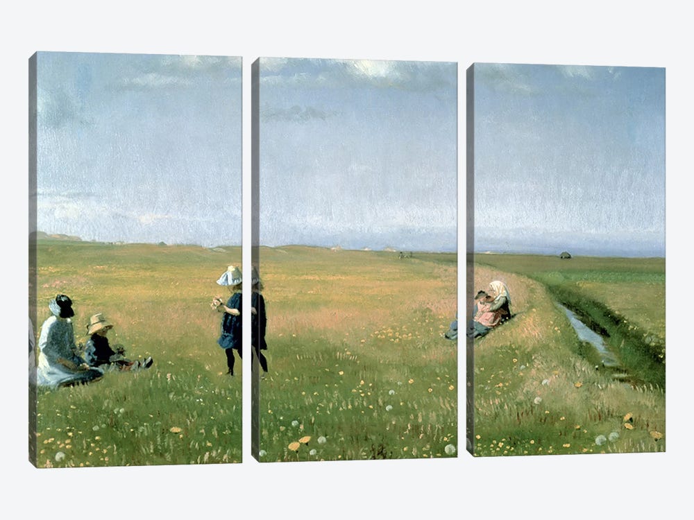 Children and Young Girls picking Flowers in a meadow north of Skagen by Michael Peter Ancher 3-piece Art Print