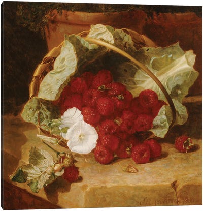 Raspberries in a Cabbage Leaf Lined Basket with White Convulvulus on a Stone Ledge, 1880  Canvas Art Print