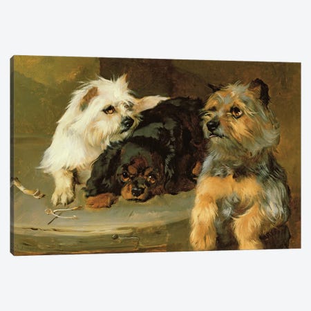 Give a Poor Dog a Bone Canvas Print #BMN545} by George Wiliam Horlor Canvas Art