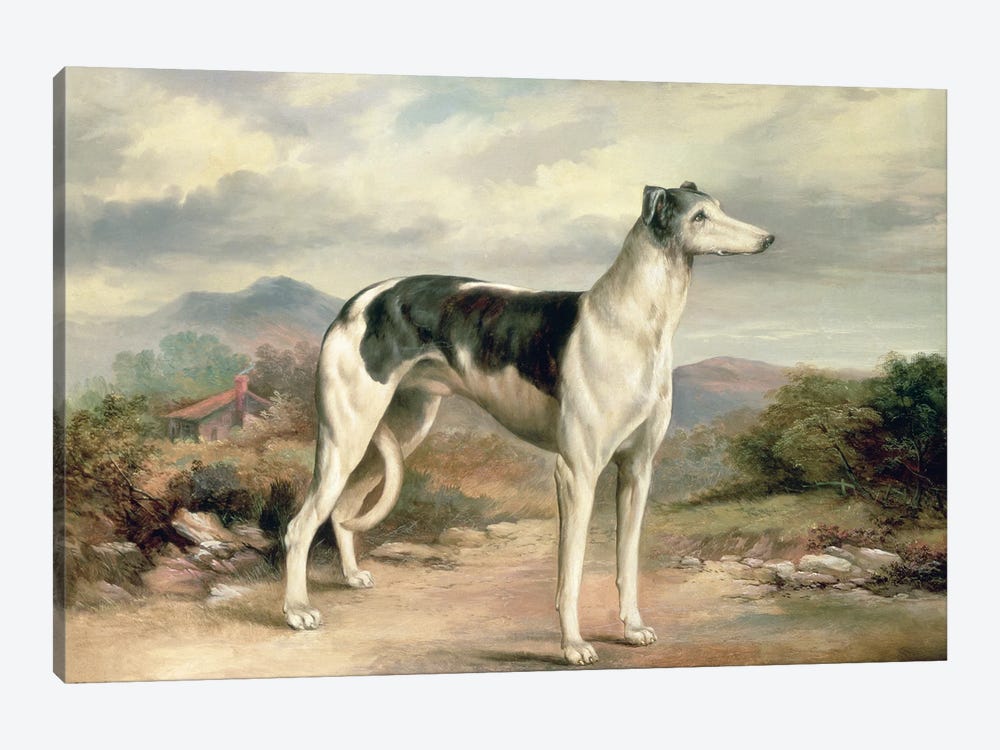 A Greyhound in a hilly landscape by James Henry Beard 1-piece Canvas Art Print