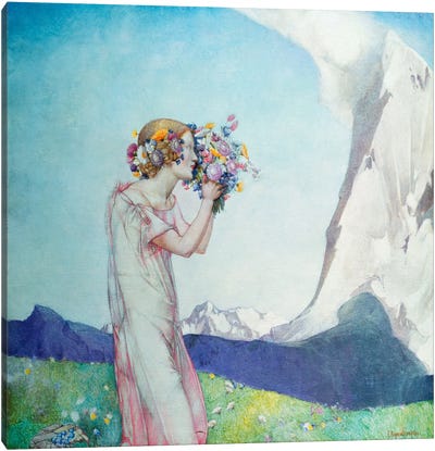 Flora Alpina  Canvas Art Print