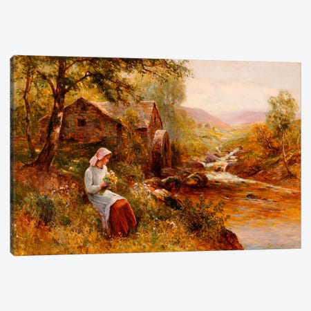 A Young Girl picking Spring Flowers  Canvas Print #BMN5480} by Ernest Walbourn Canvas Art Print