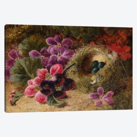 A Bird's Nest and Geraniums  Canvas Print #BMN5497} by Oliver Clare Art Print