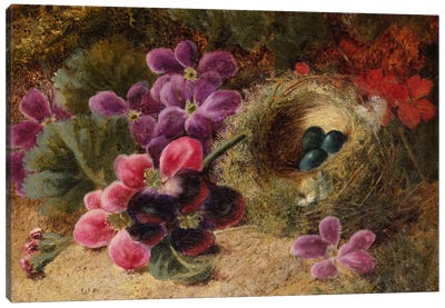 A Bird's Nest and Geraniums  Canvas Art Print - Geranium Art